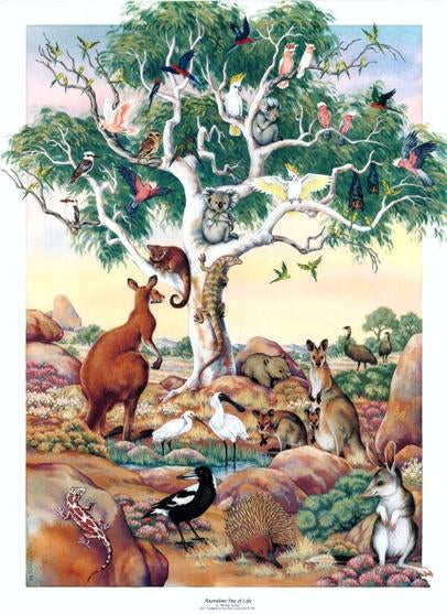 Australian Tree of Life