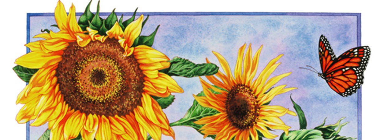 Sunflower and Monarch Butterfly by Kate Burness