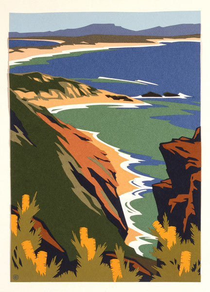 Southern Sea Coast, Banksia